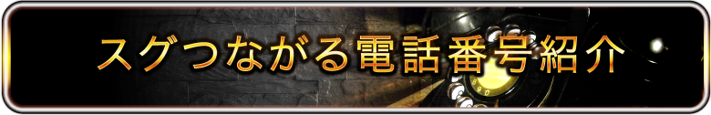 スグつながる電話番号紹介